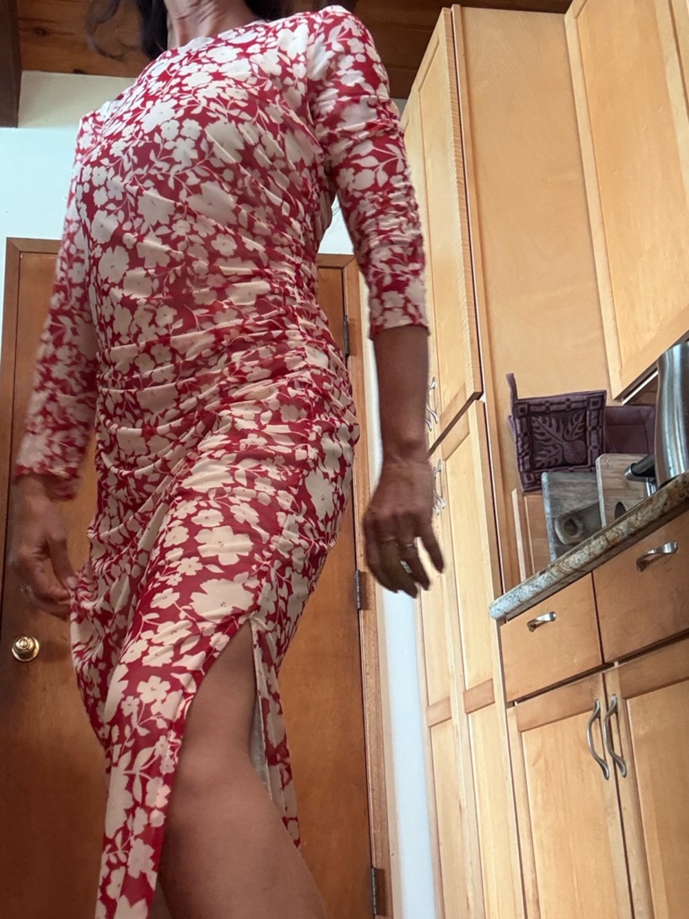DRA Los Angeles Floral Red mesh Dress
